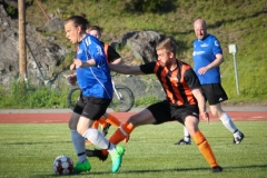 maja_oviesti_-8981